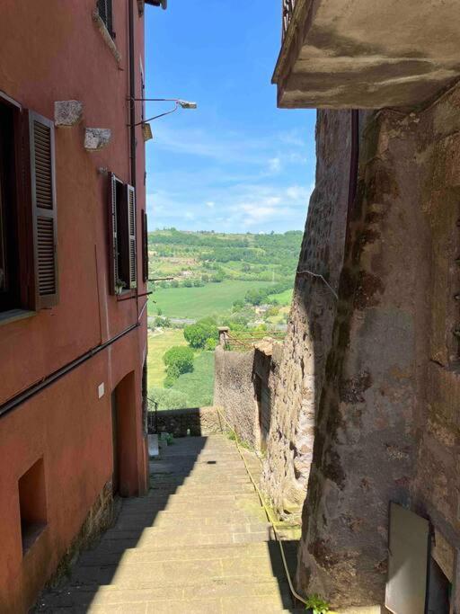 Appartamento Nel Borgo Orte Eksteriør bilde